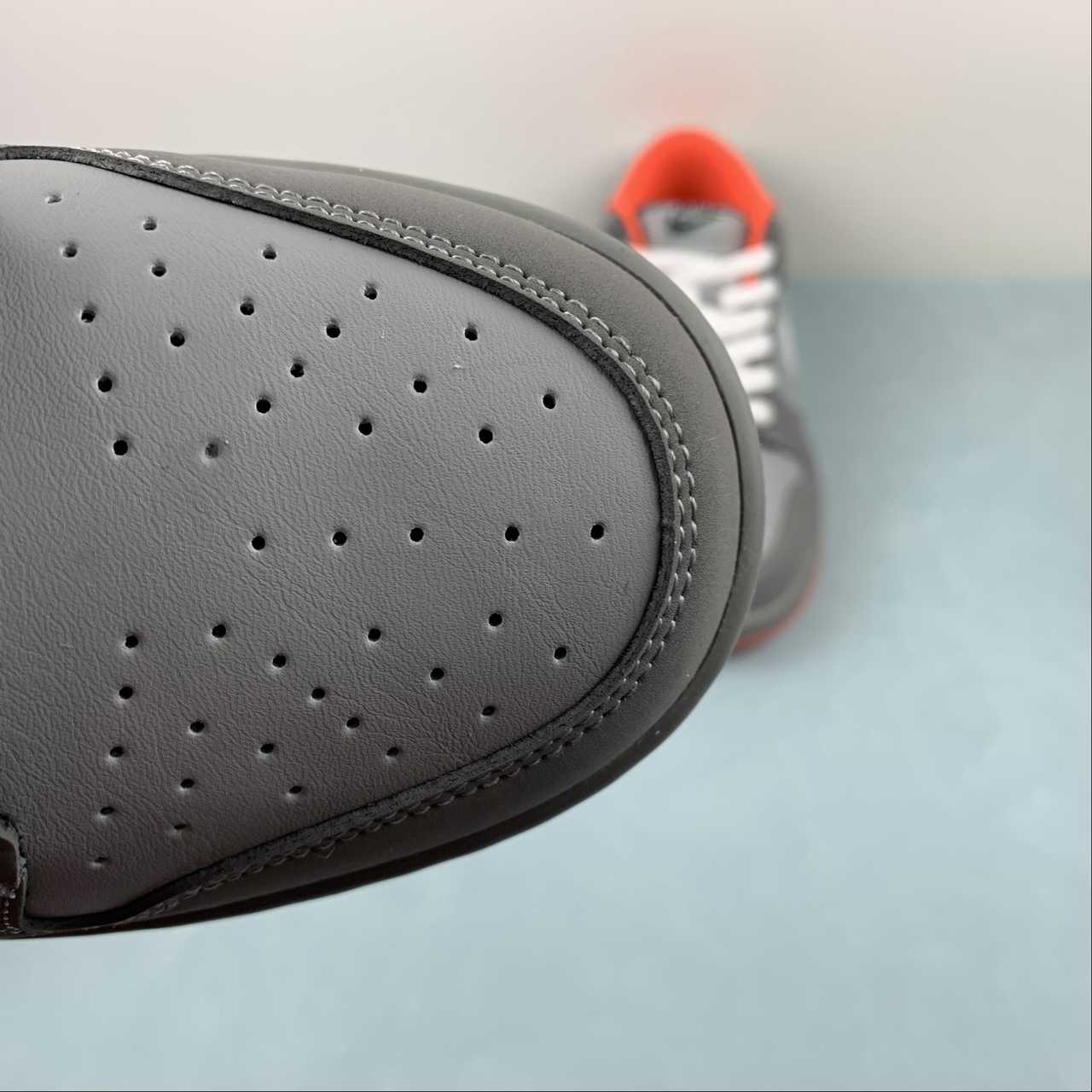 Nike Pigeon Sneakers