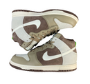 SB Dunk High - Neutral Earth Tones