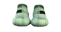 Adidas Yeezy Boost 350 V2 - Salt Noises