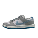 Nike Low Active Sneakers