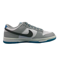 Nike Low Active Sneakers